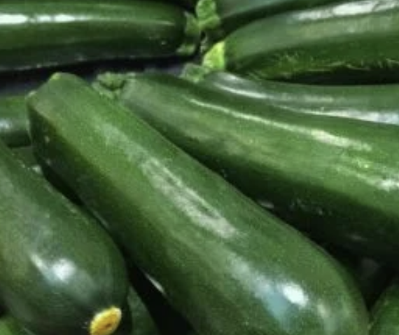 Zucchini